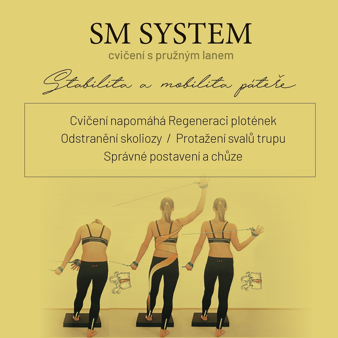 SM SYSTEM
